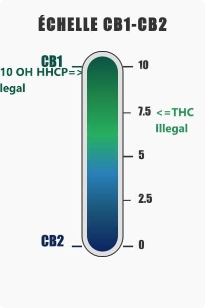 Échelle comparative CB1-CB2 des cannabinoïdes, illustrant les seuils d'illégalité pour le THC (≥ 7.5) et le 10 OH HHCP.