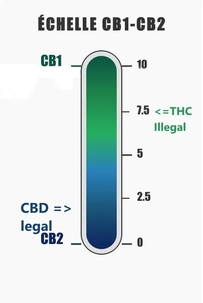 Échelle CB1-CB2 comparant le THC illégal et le CBD légal