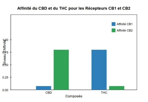Graphique d'affinité comparée CBD et THC pour récepteurs CB1 et CB2