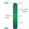 Échelle de récepteurs CB1-CB2 indiquant les seuils légaux de THC et CBN