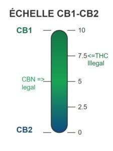 Échelle de récepteurs CB1-CB2 indiquant les seuils légaux de THC et CBN