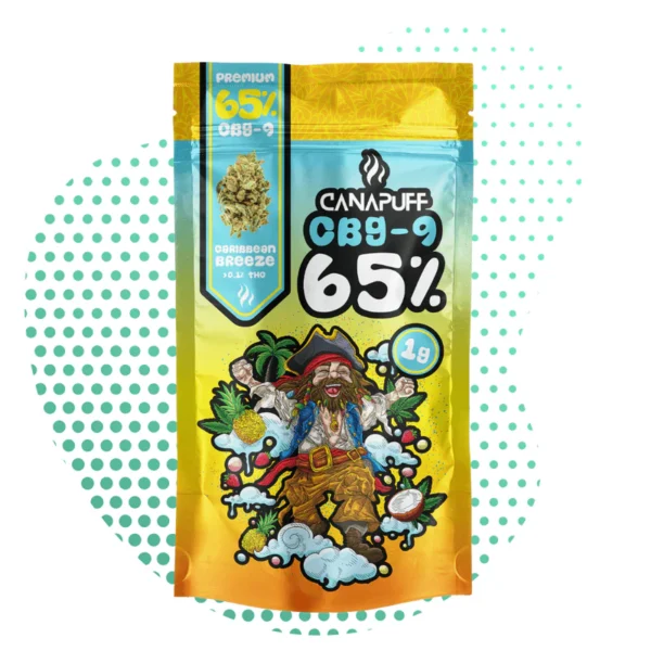 Sachet de fleur CB9-9 65% 'Caribbean Breeze' de cannalegal.fr, avec illustration de pirate et fruits tropicaux, format 1g.