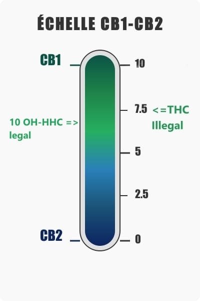 Infographie présentant une échelle de légalité HHC THC, illustrant les niveaux d'activation des récepteurs cannabinoïdes CB1 et CB2 ainsi que les seuils légaux pour le 10 OH-HHC (légal) et illégaux pour le THC (à partir de 7.5).